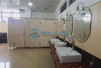 Royal Imobiliare - inchirieri spatii birouri, zona Vest - 15