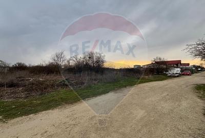 Ocazie! Teren Gulia-Tărtășești | 2.000 mp | Deschidere 40m | Utilități - 5