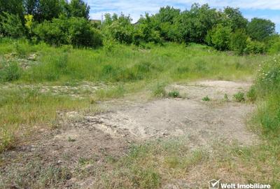 Teren Construcții intravilan de 1464 mp, în Mănăștur