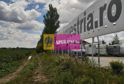 Teren 715mp în Snagov lângă Equestria - 16