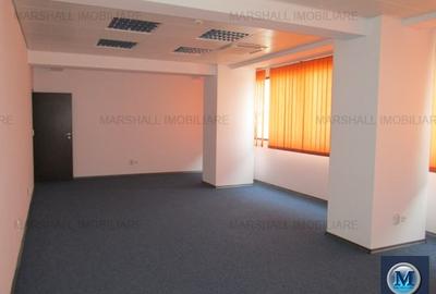 Birou, 350.56 mp în Central