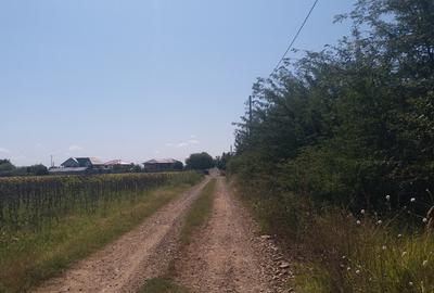 Teren 15000 mp Vernesti, Buzau cu PUZ - 7