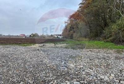 Teren Vladiceasca / Soseaua Vladiceasca 1109 mp Liziera Padurii - 1