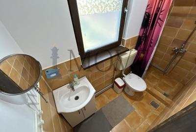 BELCIUGATELE- Casă de vacanță sau locuință permanentă - 12