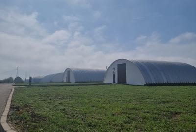 Industrial PARK for Sale – 4 Warehouses with Land, Near Bucharest (INTRAVILAN) - 3