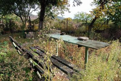 🏡  Casă de Poveste în Șiria, Arad- Locație Rară - 18