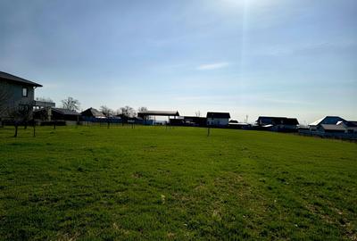 Teren Intravilan Salcea | 72.000 MP | Parcelabil | Investiție Majoră - 1