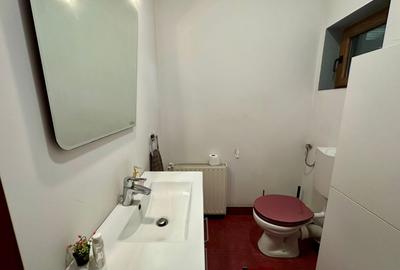 Casa individuala, 251 mp utili, 600 mp teren - Dumbrăvița - 14