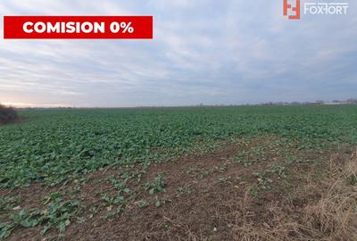 COMISION 0% Teren extravilan 20.000 mp la sosea in Sag - 1