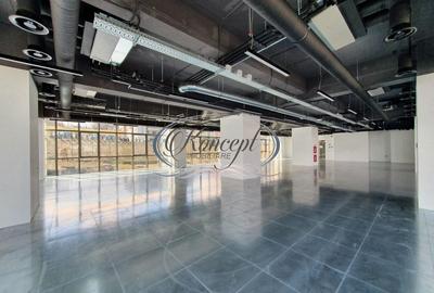Spatiu birouri clasa A, zona Grigorescu - 12