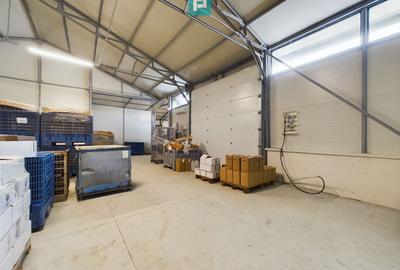 Hală de producție cu spații de birouri - 1