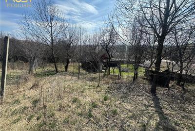 Teren Parcelabil I 11400 MP I Corpadea - 8