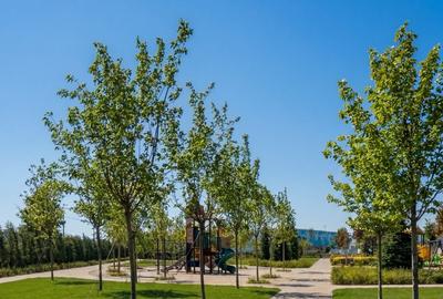 APARTAMENT 3 CAMERE - FINISAJE PREMIUM- GATED COMMUNITY - 13