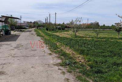 Ferma Zootehnică Mixtă – Cernateaz, Timiș | 9,5 ha | Hale Moderne, Casă 2019, va - 1