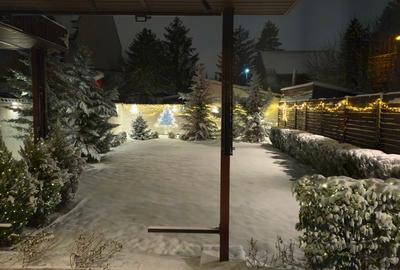 Damaroaia Bucureștii Noi - 4