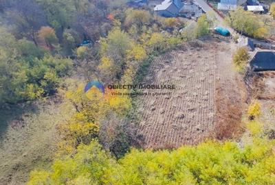 Teren de vânzare 11.766 mp – Costișa, județul Neamț - 4