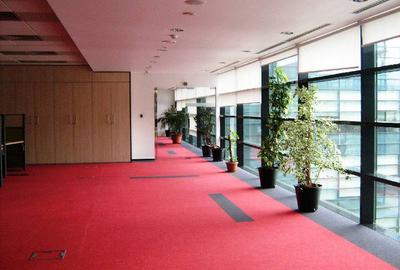 Atrium House, Grozavesti, 350 - 1326 mp  0% comision! - 7