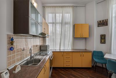 Business cu identitate: Apartament Unirii , demisol, parter si curte accesibila - 12