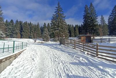 Vanzare teren 900 mp/25 ml toate utilitatile, Predeal laga Cabana Trei Brazi - 9