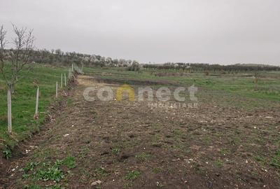 Teren intravilan 1,870mp | Cluj-Napoca, strada Silvaniei - 7