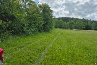 Casute vacanta cu teren 5600m2 - 3