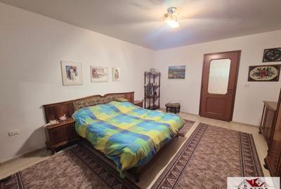 Casa de vanzare in Ocna Mures - 9