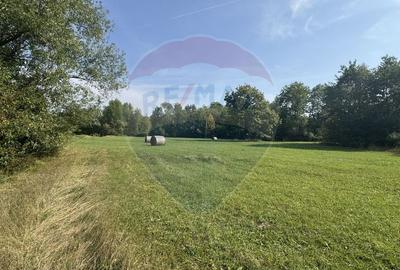 Teren 10.000 mp Calatele – Apuseni, langa rau, ideal investitie turism - 9