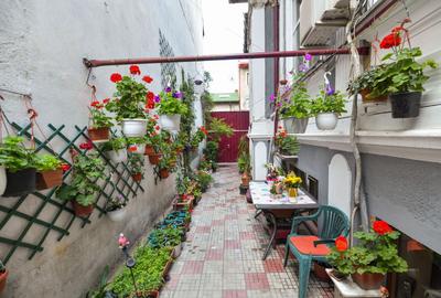 Casa individuală | Strada Plantelor | Curte proprie - 2