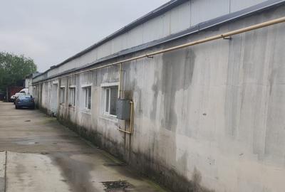 Module hale 250 mp Comuna Pantelimon- Zona industriala - 3