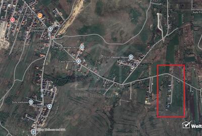 Teren 800mp pt casa individuala, PUZ și HCL colonia Sopor - 3