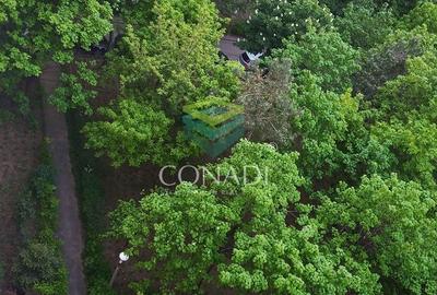 Apartament cu 3 camere la 500m de Metrou Obor renovat // Centrala - 26