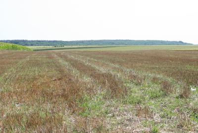 BELCIUGATELE - Complexul Valea Iazurilor, 19.720 mp. teren intravilan parcelabil - 7