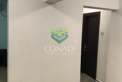 Apartament langa lacul Plumbuita cu 4 camere - 1