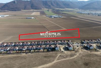 Teren 12.500 mp Ghimbav – Cartierul Florilor | Ghimbav | Brașov - 6