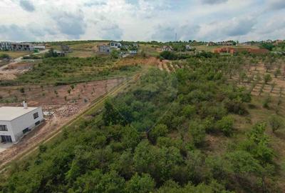 Teren intravilan 1,163mp de vânzare în Săldabagiu De Munte - 5