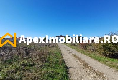 Corbeanca - Tamasi | Teren 1225mp, deschidere 44ml | Utilitati la 50m - 3