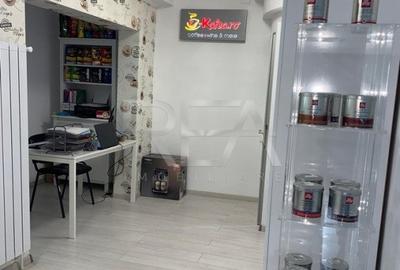 VILA Bucurestii Noi pentru SPATIU COMERCIAL - 3
