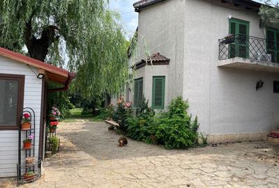 Vila cu piscina -7 camere - Ghermănești - 2