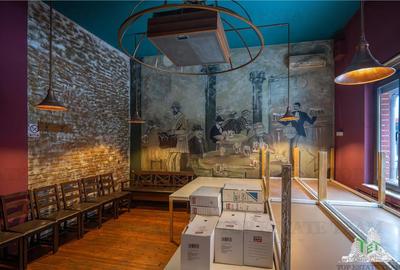 Proprietate Piata Unirii - teren  1000mp +  2 constructii - 5