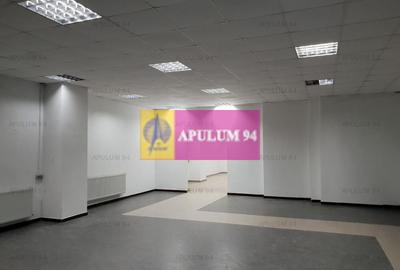 Locul Potrivit pentru afacerea ta - Otopeni- Calea București - 6