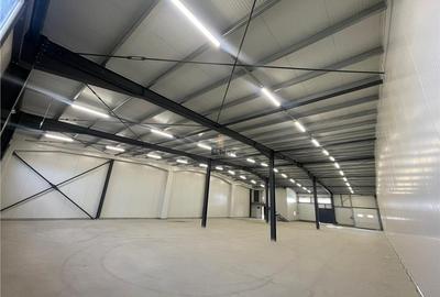 Spatiu Industrial - 700 mp - Productie - Depozitare - Distributie - 1