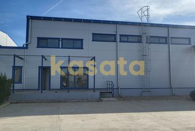 Spatiu de depozitare/productie de inchiriat - Zona de Vest - 6