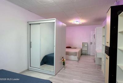 Fizicienilor - Lacramioarei, 3 camere 67 mp, pod 40 mp, modernizat - 8
