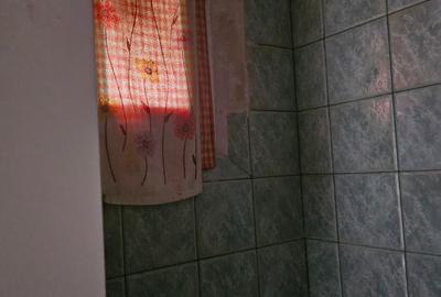 Soseaua Vergului, stradal, vis a vis spitalul Malaxa - 9