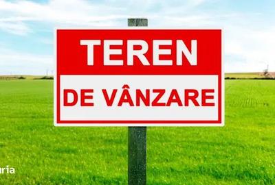 Teren intravilan 1570 mp utilitati Daia Noua 10 minute de Sibiu - 1