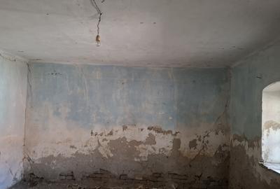Casa pentru renovare  in Nadlac cu teren 1472mp - 9