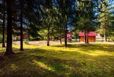 Cabane cu 10 camere Arieseni - 4