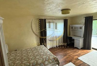 Casa visurilor tale, acum disponibilă spre închiriere în Făget - 4