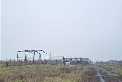 Teren Intravilan Aproape de Plaja | Agigea - 1