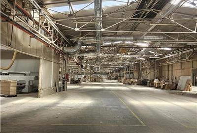 Proprietate Industriala - 16000 mp - Productie - Depozitare - Office - 1